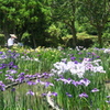 府立植物園にて　其の拾弐