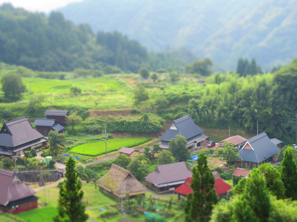 世屋高原の箱庭　壱