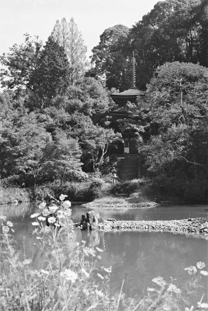 浄瑠璃寺