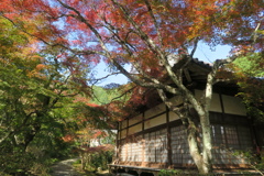 神蔵寺　秋