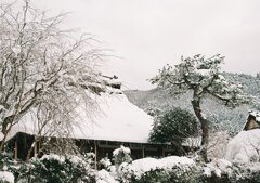 雪の里山　壱