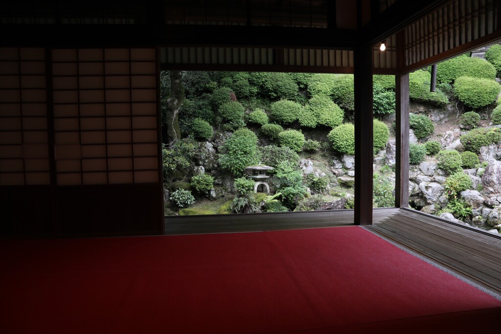 立願山 楊谷寺　新緑の景色 壱　