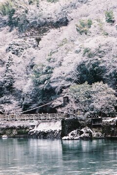 冬景色　宇治川　其の壱