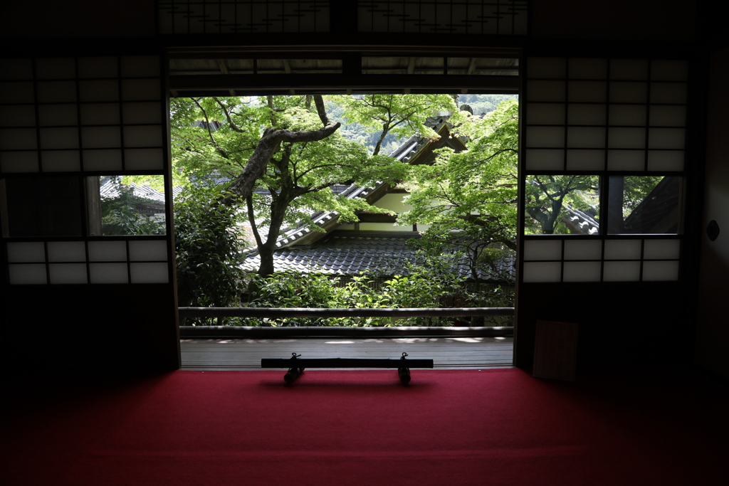 立願山 楊谷寺　新緑の景色  参