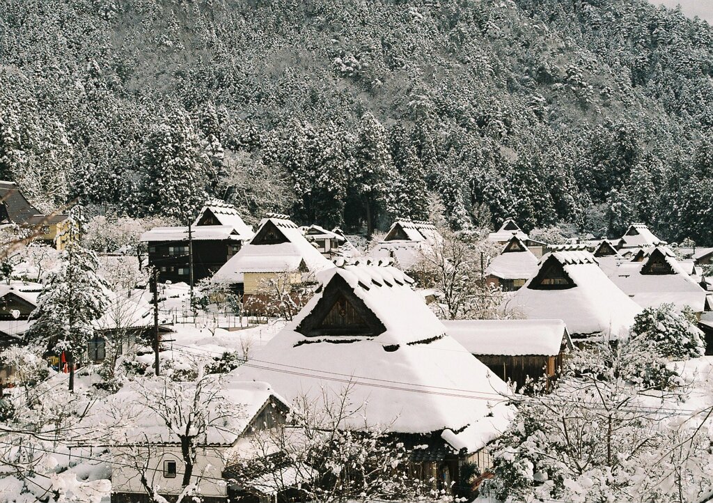 雪の里山　弐