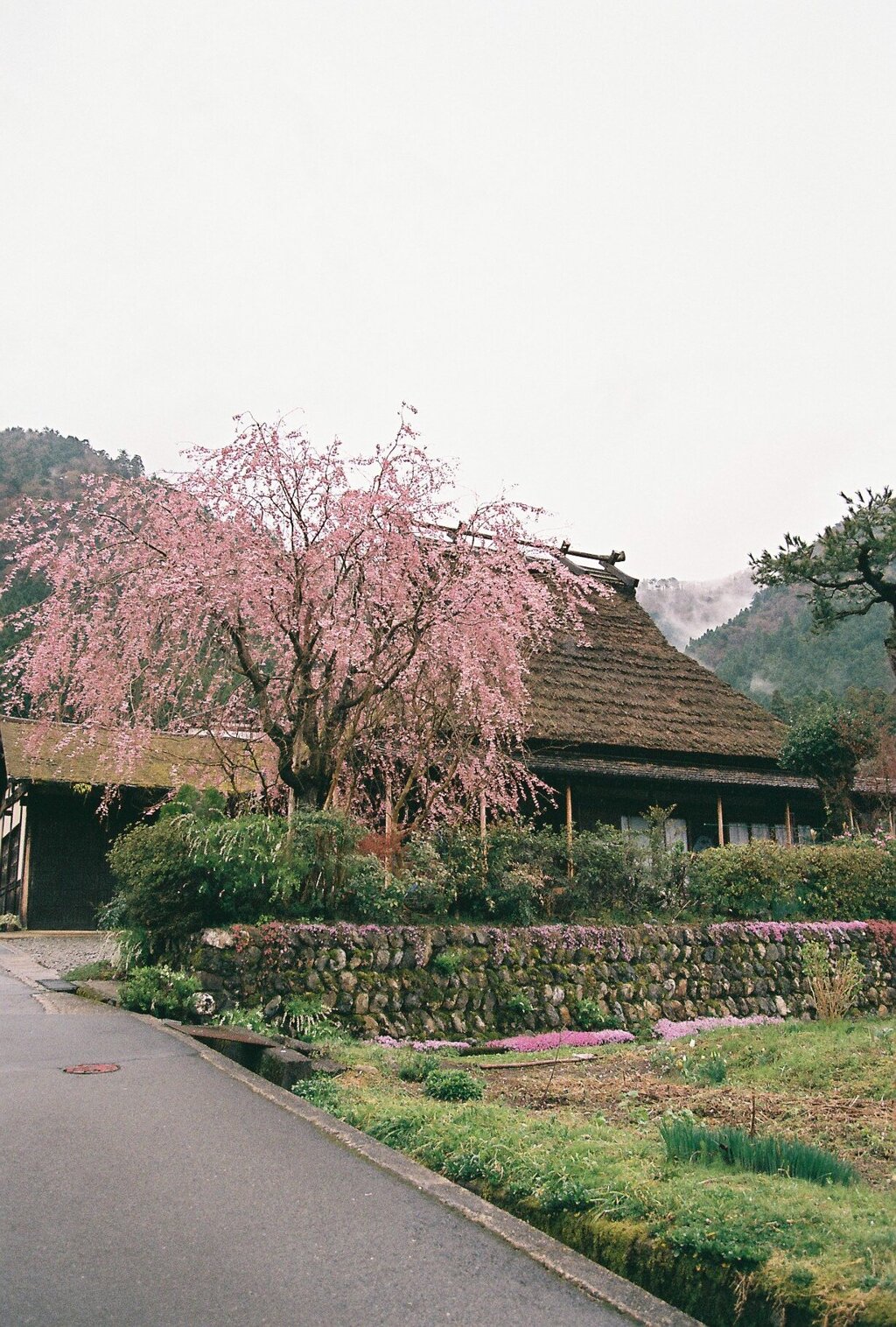 里山　春