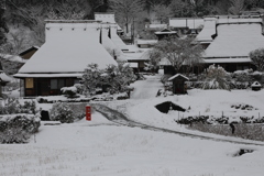 最強寒波の日　美山　4