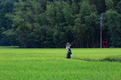 田んぼの見張り番