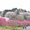 通りすがりの仲良しカップル