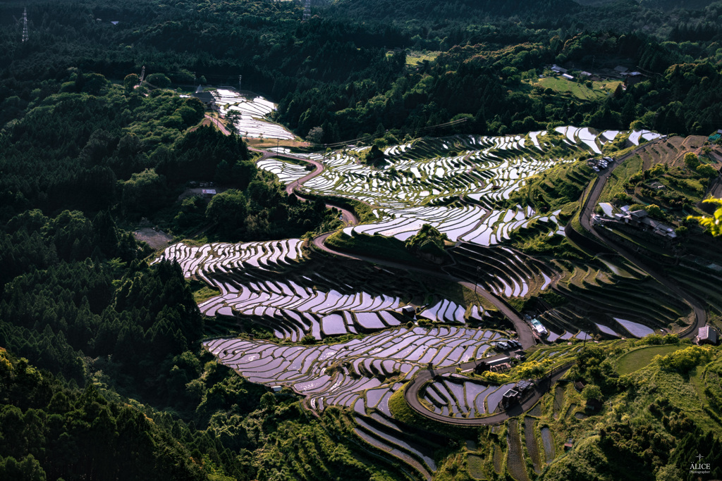 丸山千枚田