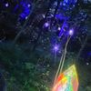 童話村ライトアップ