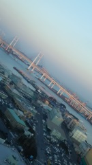 横浜の港。