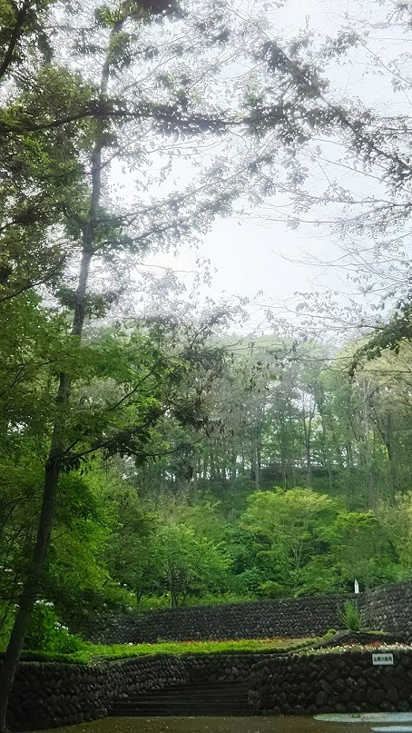 賢治の花壇