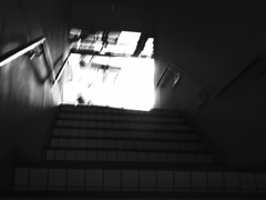 モノクロームな階段。