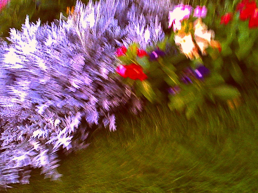 失敗写真。