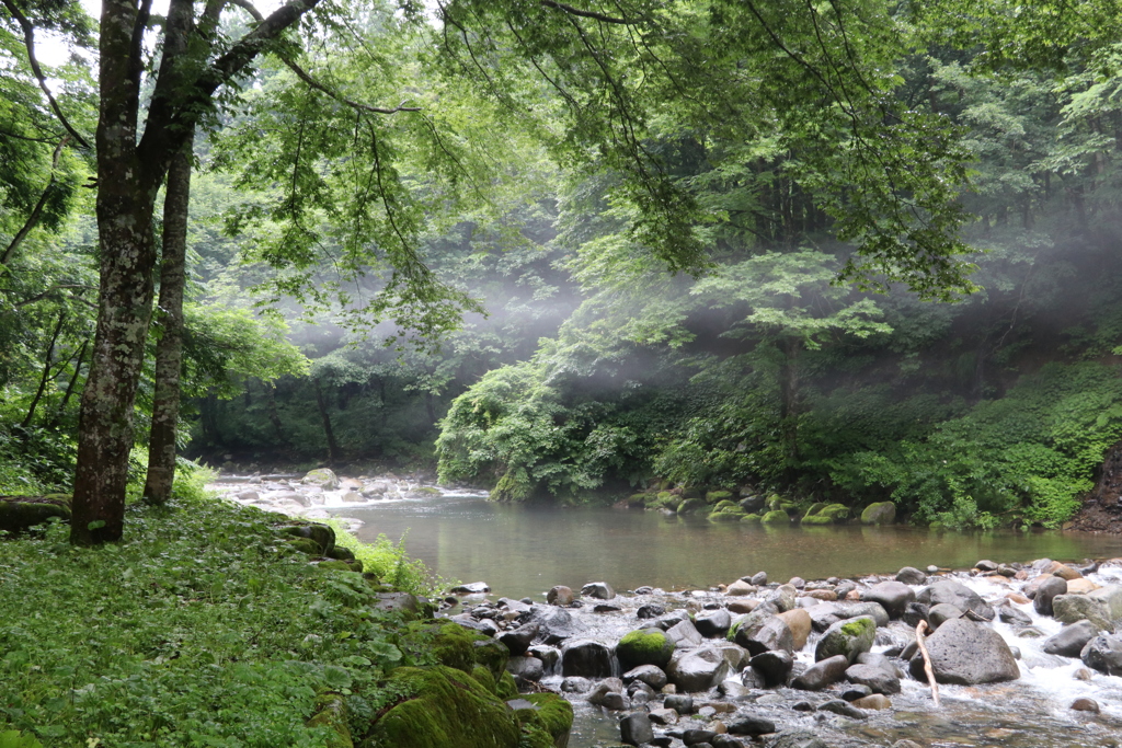 雲が・・