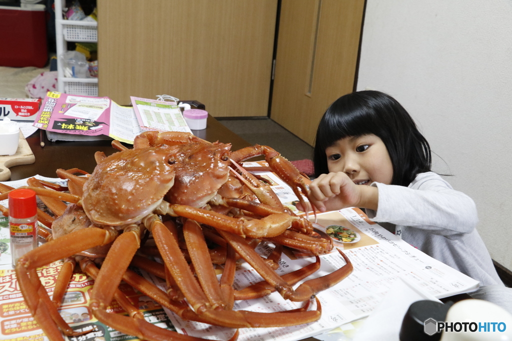 未知との遭遇