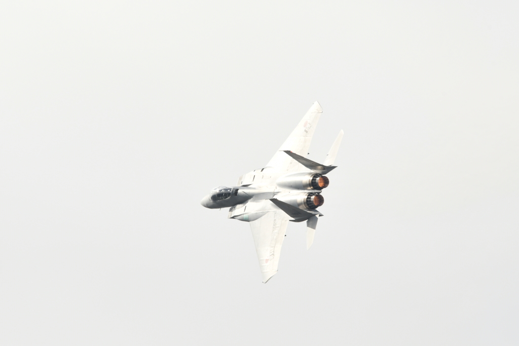 DSC_4374