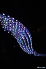 切子グラスの"天の川"