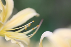 優しく撮りたいなぁ。。