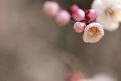 まるっと…気持ちもまぁるく