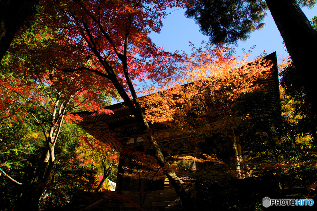 西明寺