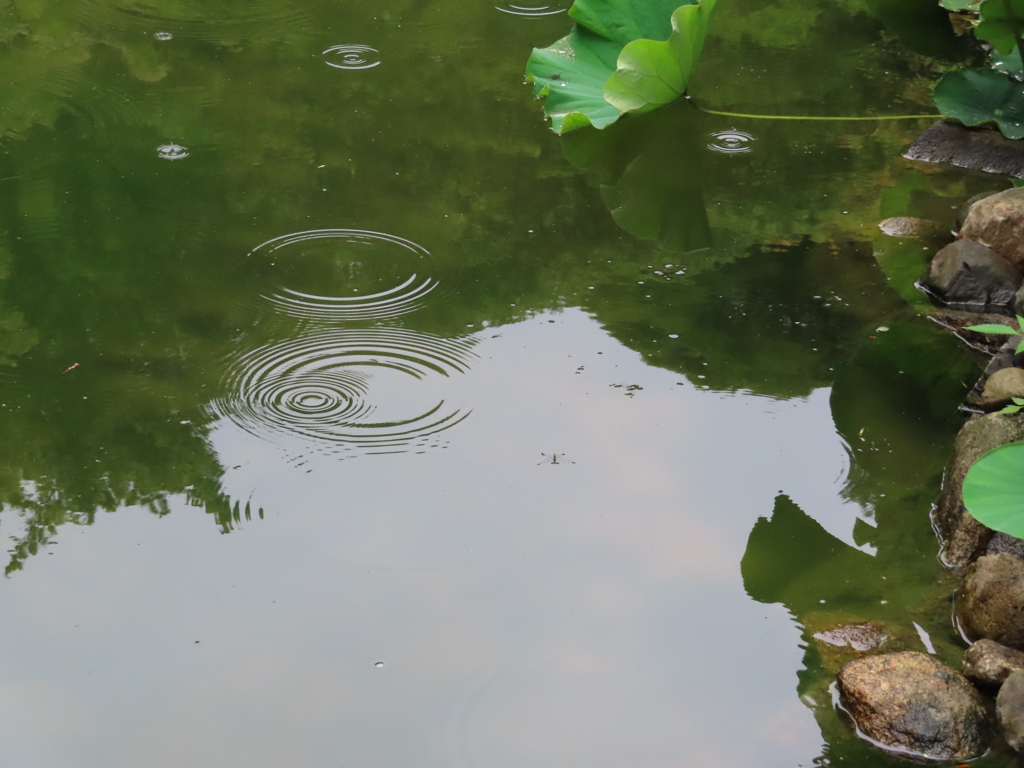 小雨