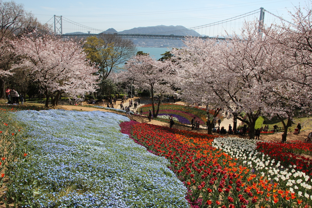 お花がいっぱい