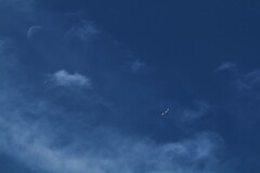 宙は広い