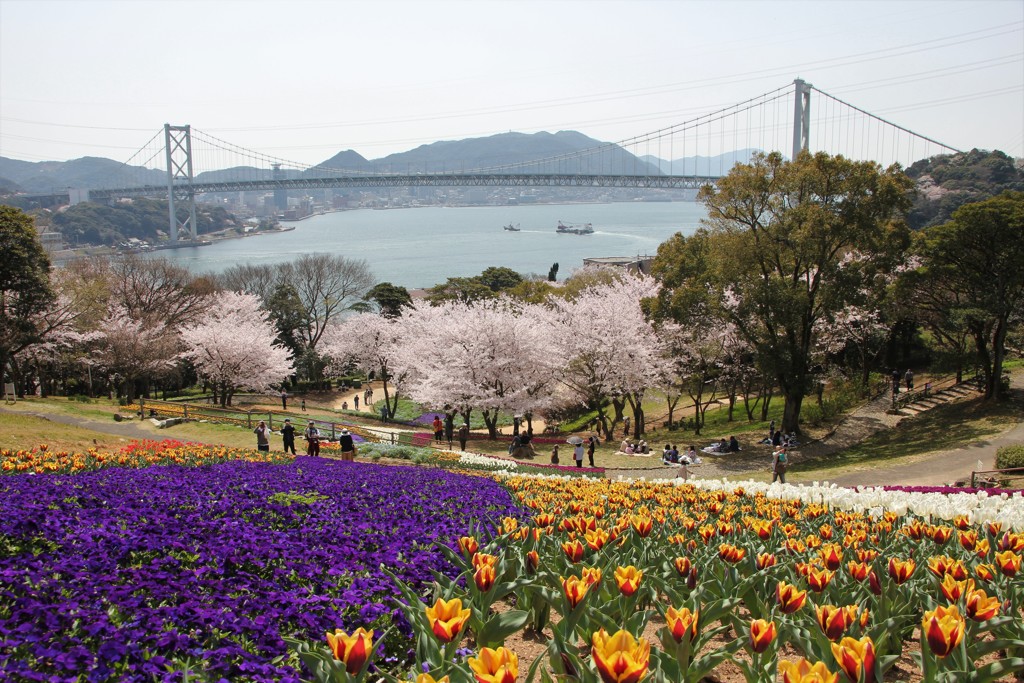 2018年の火の山公園