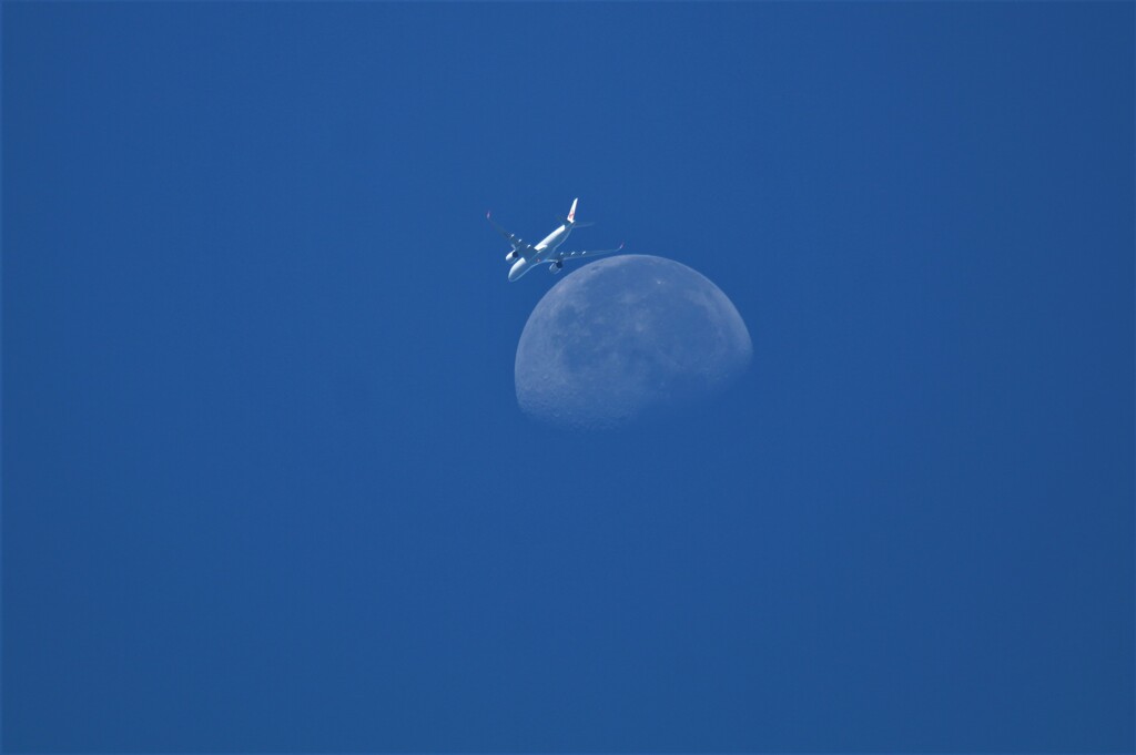 飛行機と月