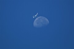 飛行機と月