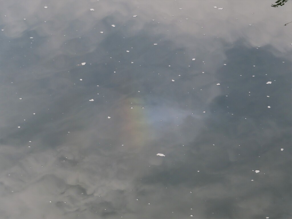 川面の彩雲