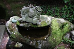福