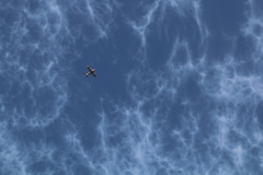 泳ぐ練習機