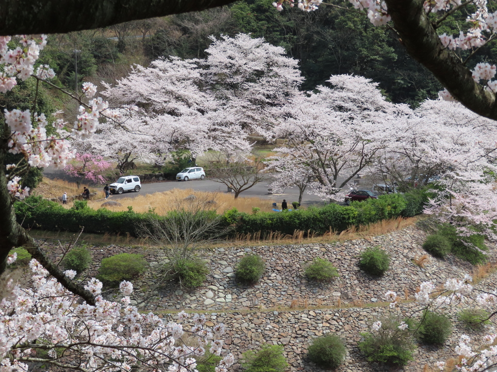 歌野千本桜Ⅱ