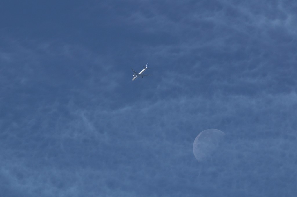 空旅したい