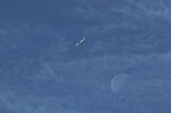 空旅したい