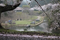 歌野千本桜①
