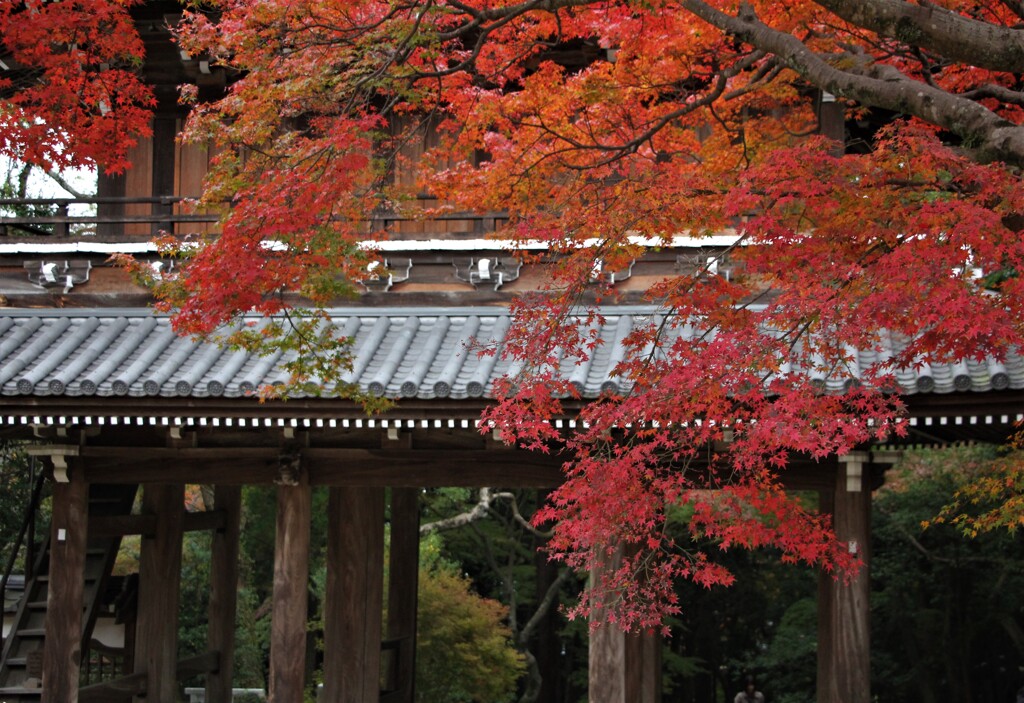 功山寺にて