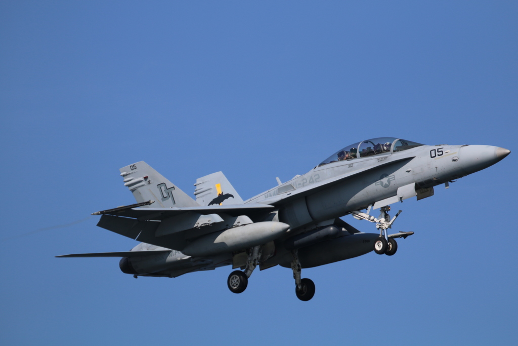 F/A-18（コウモリ）