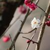 白一点