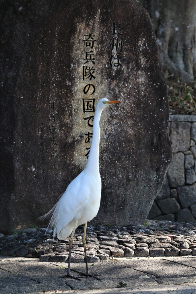 広報マン