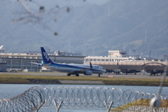 共存