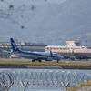 共存