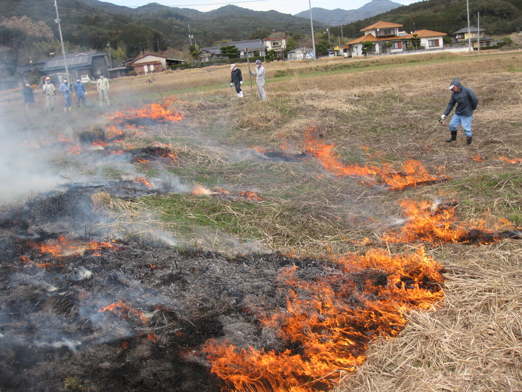 野焼き