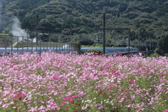 主役は？