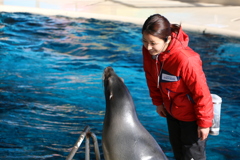 ぼく、頑張る