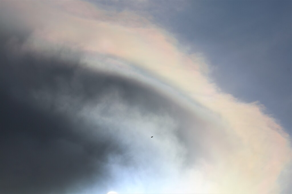 彩雲にツバメ