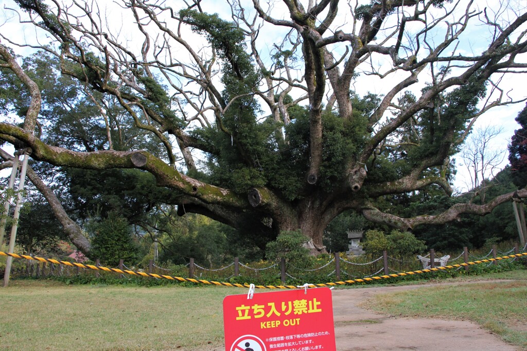 復活を祈る